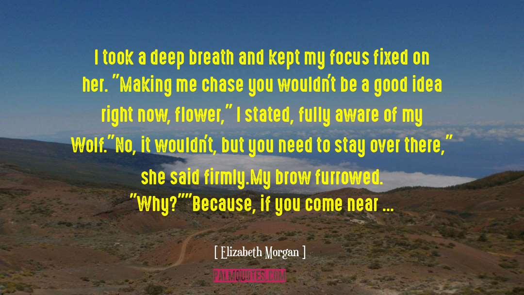 Elizabeth Morgan Quotes: I took a deep breath
