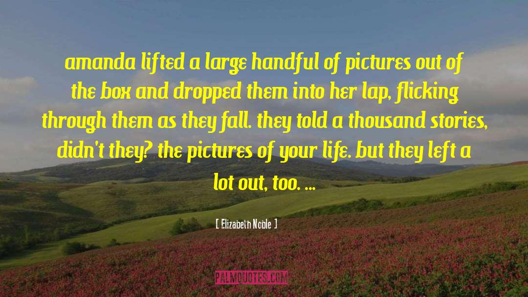 Elizabeth Noble Quotes: amanda lifted a large handful