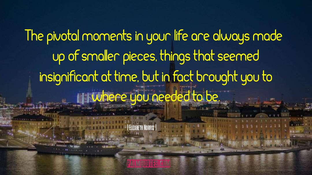 Elizabeth Norris Quotes: The pivotal moments in your