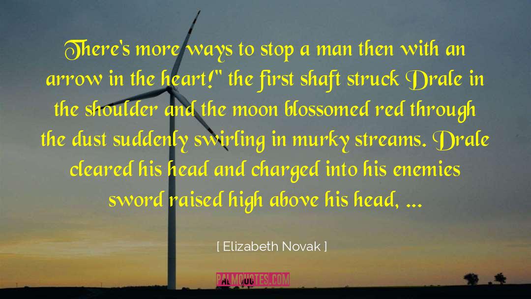 Elizabeth Novak Quotes: There's more ways to stop