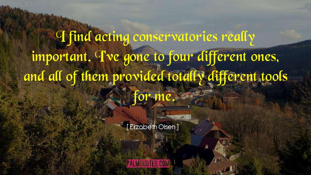 Elizabeth Olsen Quotes: I find acting conservatories really