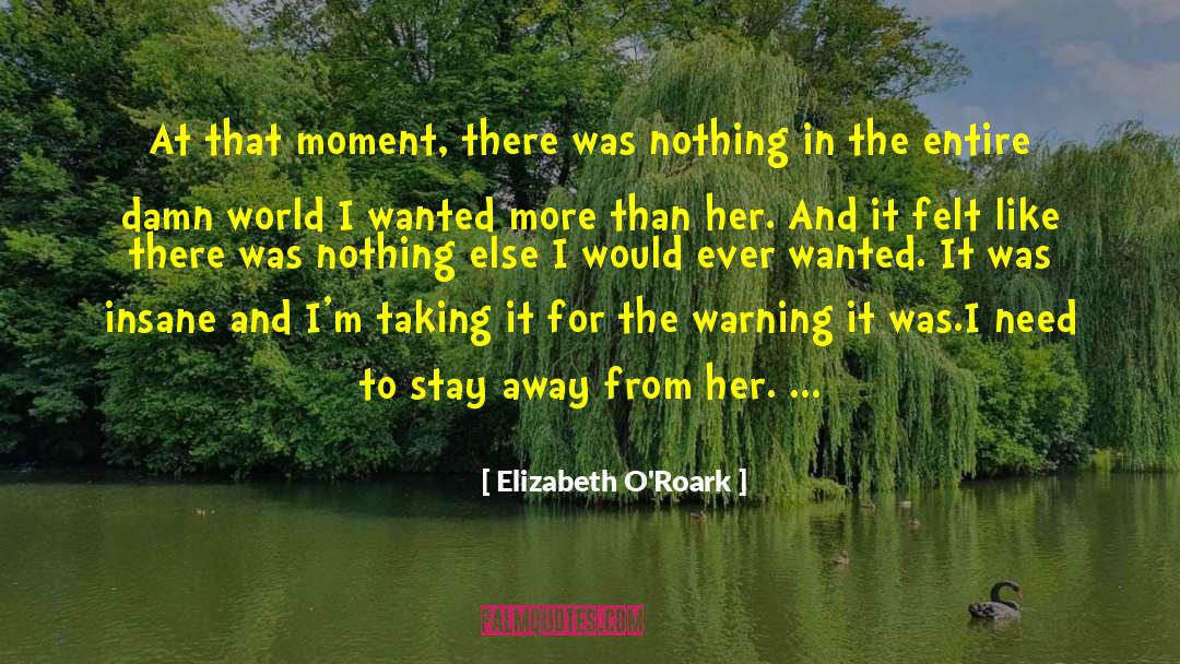 Elizabeth O'Roark Quotes: At that moment, there was