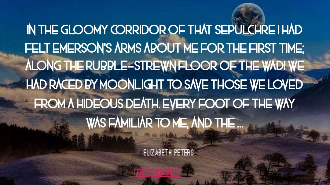 Elizabeth Peters Quotes: In the gloomy corridor of