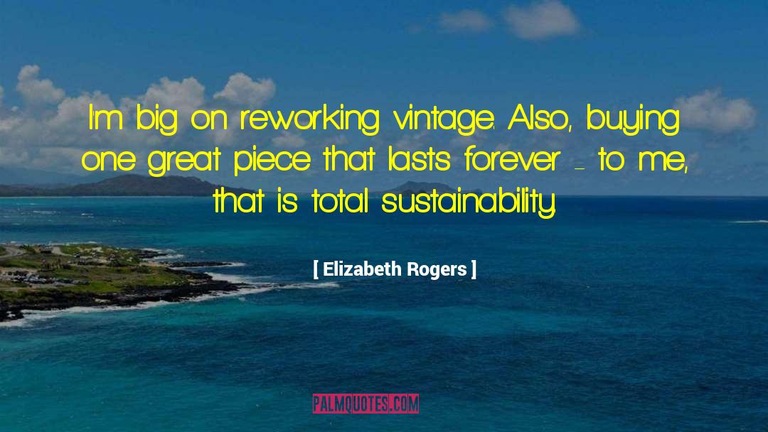 Elizabeth Rogers Quotes: I'm big on reworking vintage.