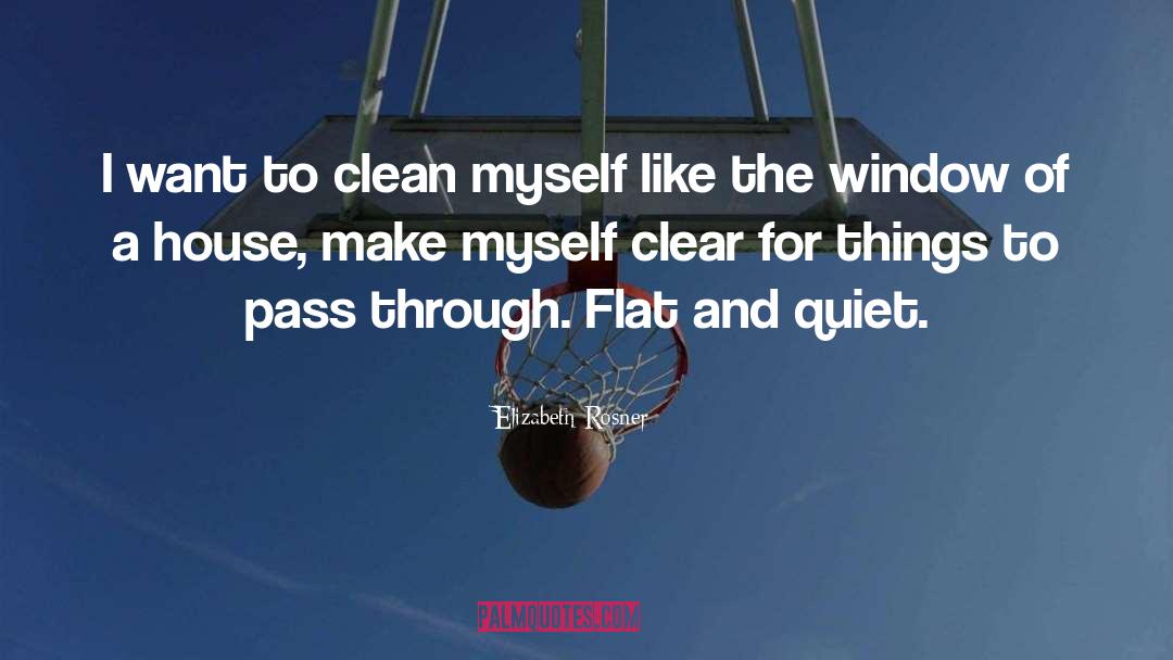 Elizabeth Rosner Quotes: I want to clean myself