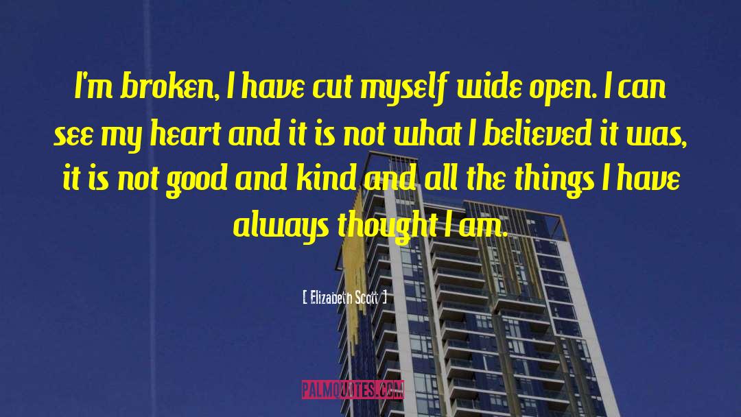 Elizabeth Scott Quotes: I'm broken, I have cut
