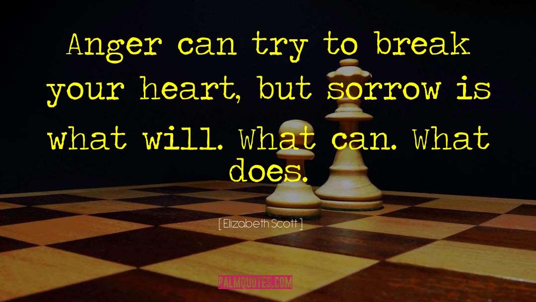 Elizabeth Scott Quotes: Anger can try to break