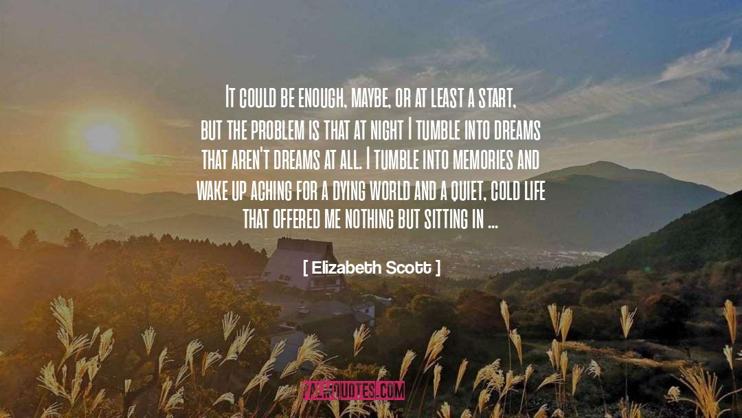 Elizabeth Scott Quotes: It could be enough, maybe,