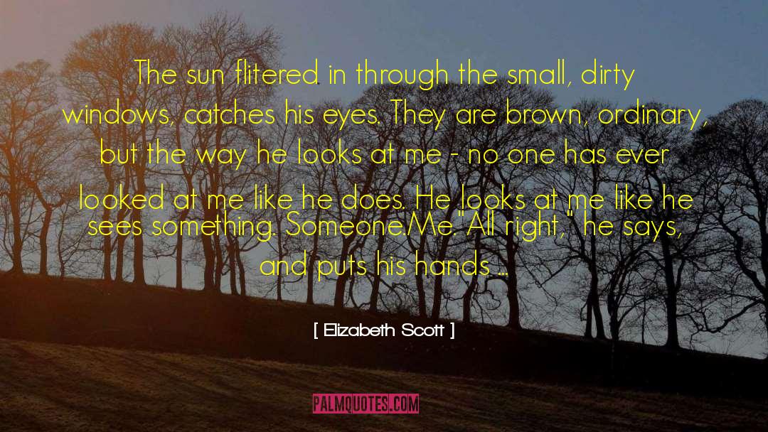 Elizabeth Scott Quotes: The sun flitered in through