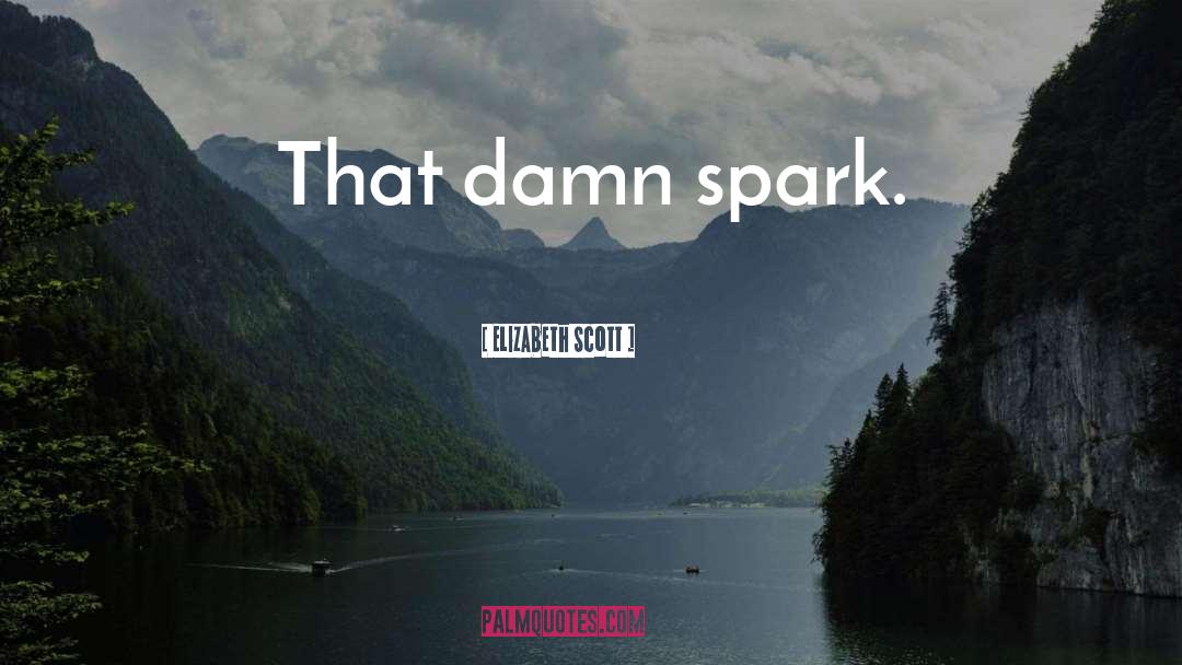 Elizabeth Scott Quotes: That damn spark.