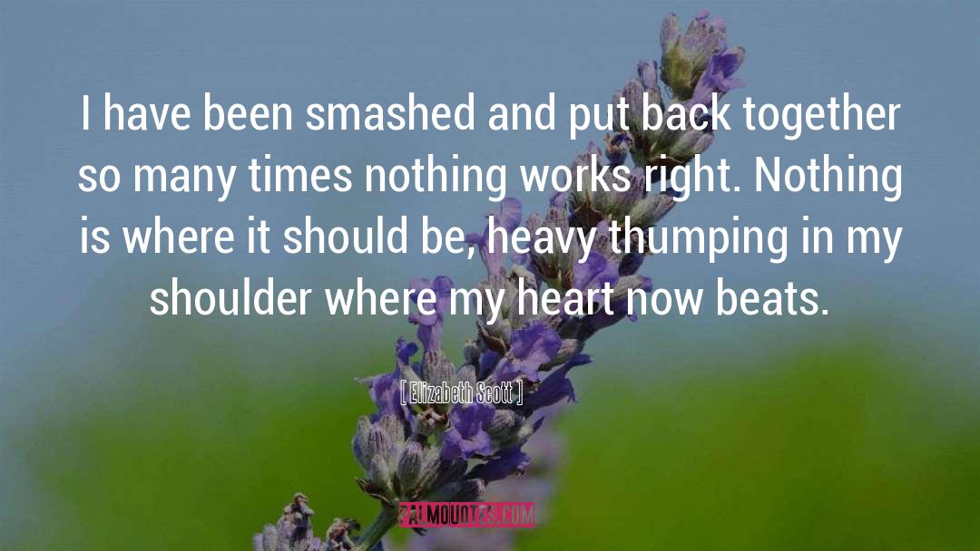 Elizabeth Scott Quotes: I have been smashed and