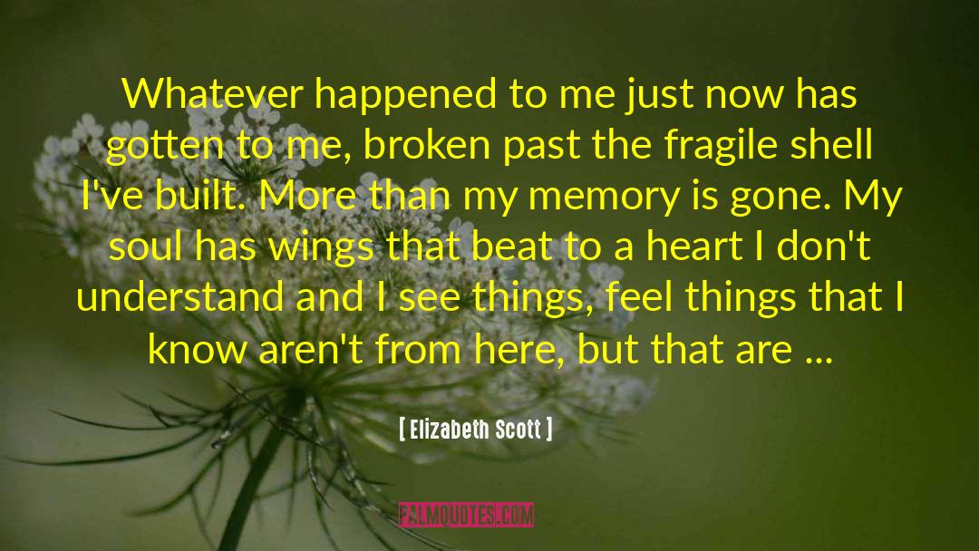 Elizabeth Scott Quotes: Whatever happened to me just