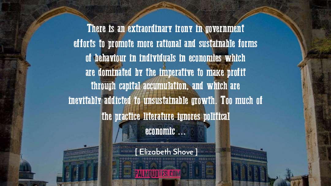 Elizabeth Shove Quotes: There is an extraordinary irony