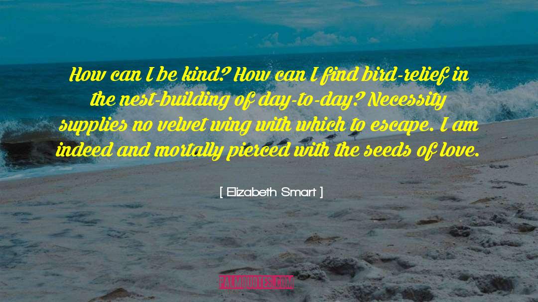 Elizabeth Smart Quotes: How can I be kind?