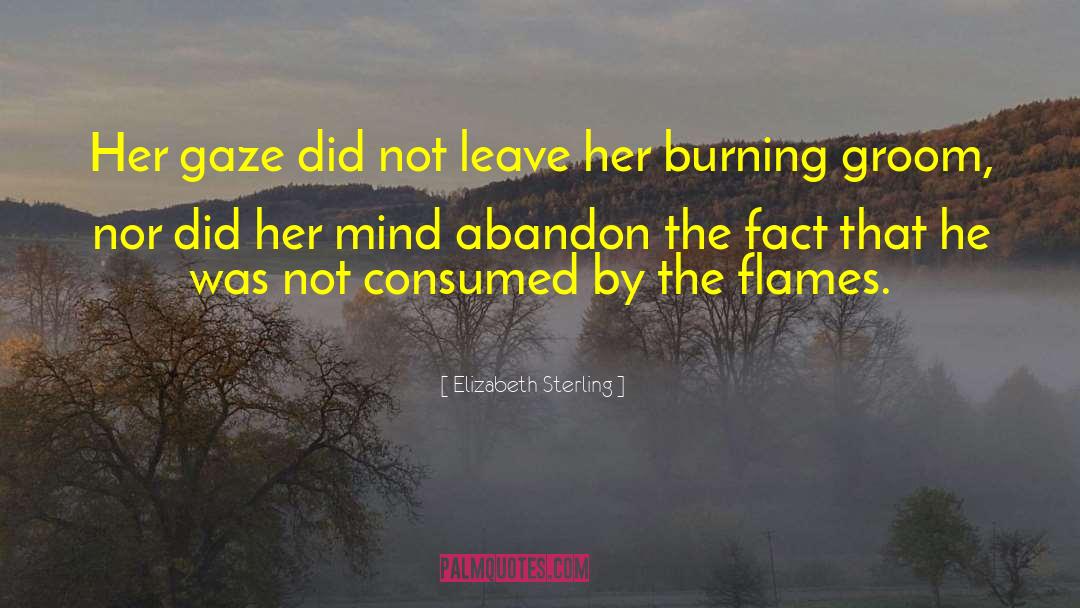 Elizabeth Sterling Quotes: Her gaze did not leave