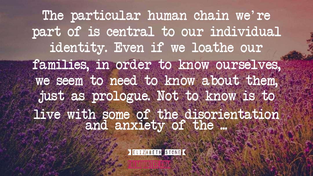 Elizabeth Stone Quotes: The particular human chain we're