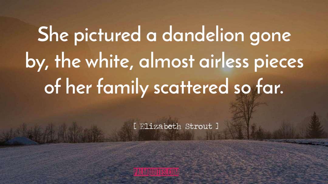 Elizabeth Strout Quotes: She pictured a dandelion gone