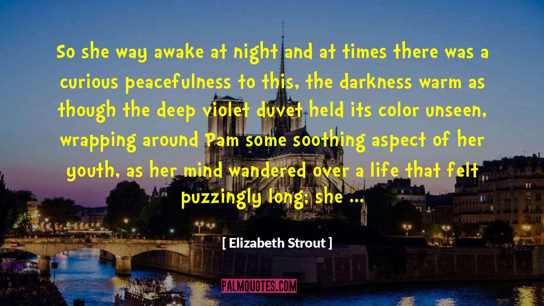 Elizabeth Strout Quotes: So she way awake at