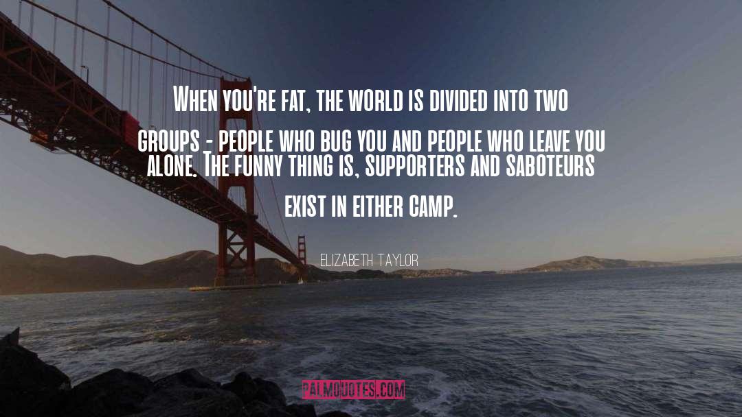 Elizabeth Taylor Quotes: When you're fat, the world