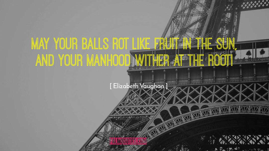 Elizabeth Vaughan Quotes: May your balls rot like