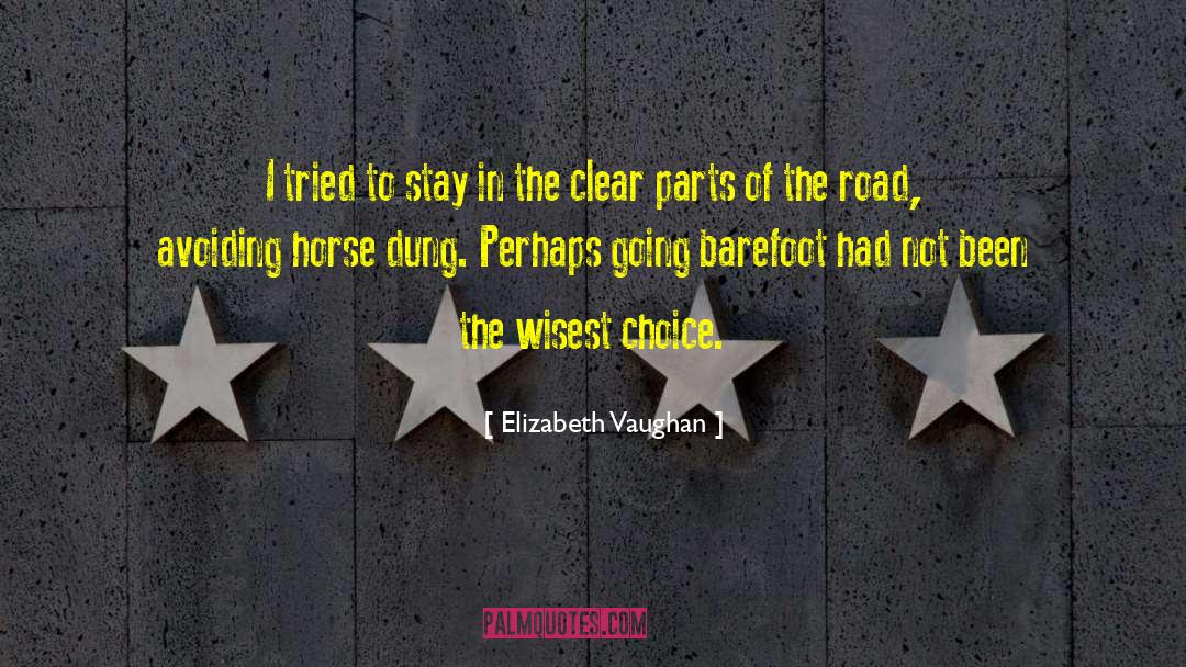 Elizabeth Vaughan Quotes: I tried to stay in