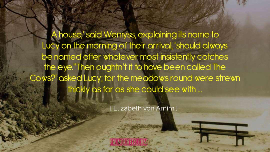 Elizabeth Von Arnim Quotes: A house,' said Wemyss, explaining