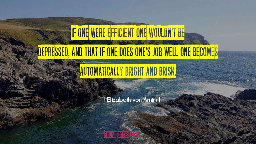 Elizabeth Von Arnim Quotes: if one were efficient one