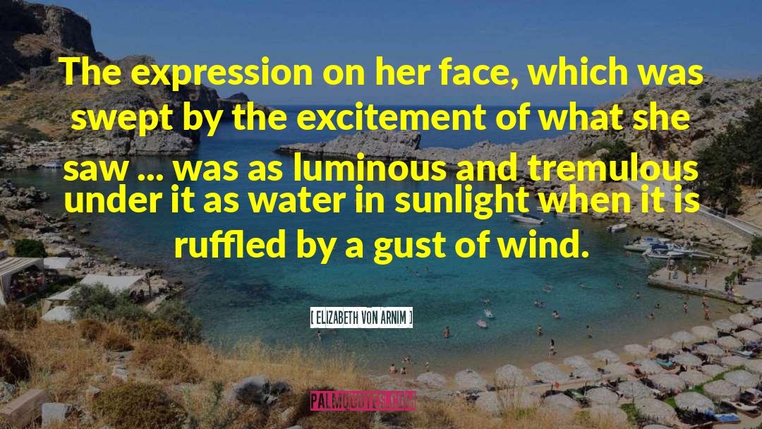 Elizabeth Von Arnim Quotes: The expression on her face,