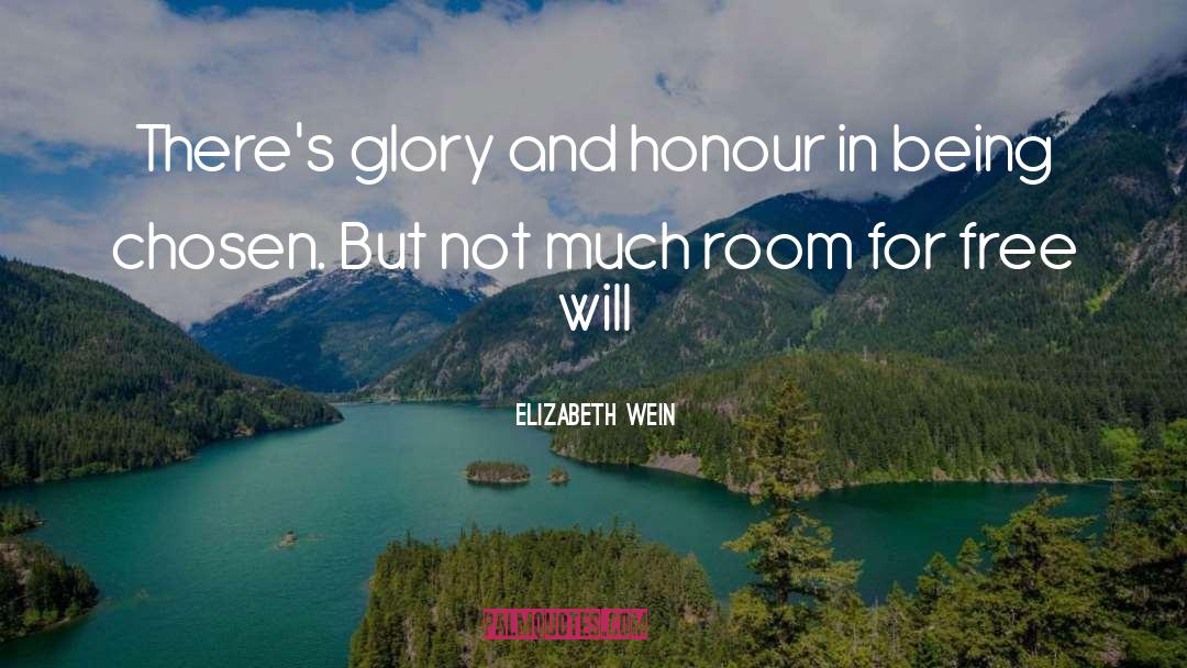 Elizabeth Wein Quotes: There's glory and honour in