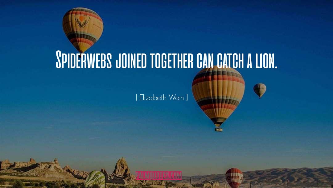 Elizabeth Wein Quotes: Spiderwebs joined together can catch