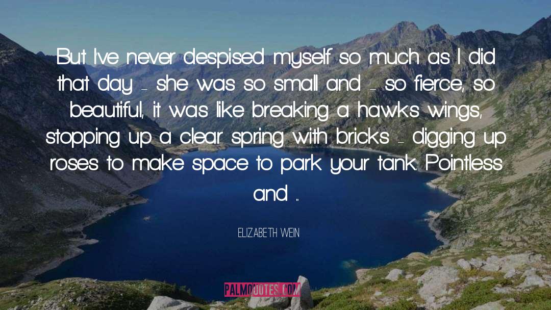 Elizabeth Wein Quotes: But I've never despised myself