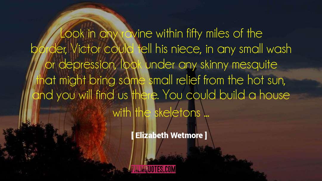 Elizabeth Wetmore Quotes: Look in any ravine within