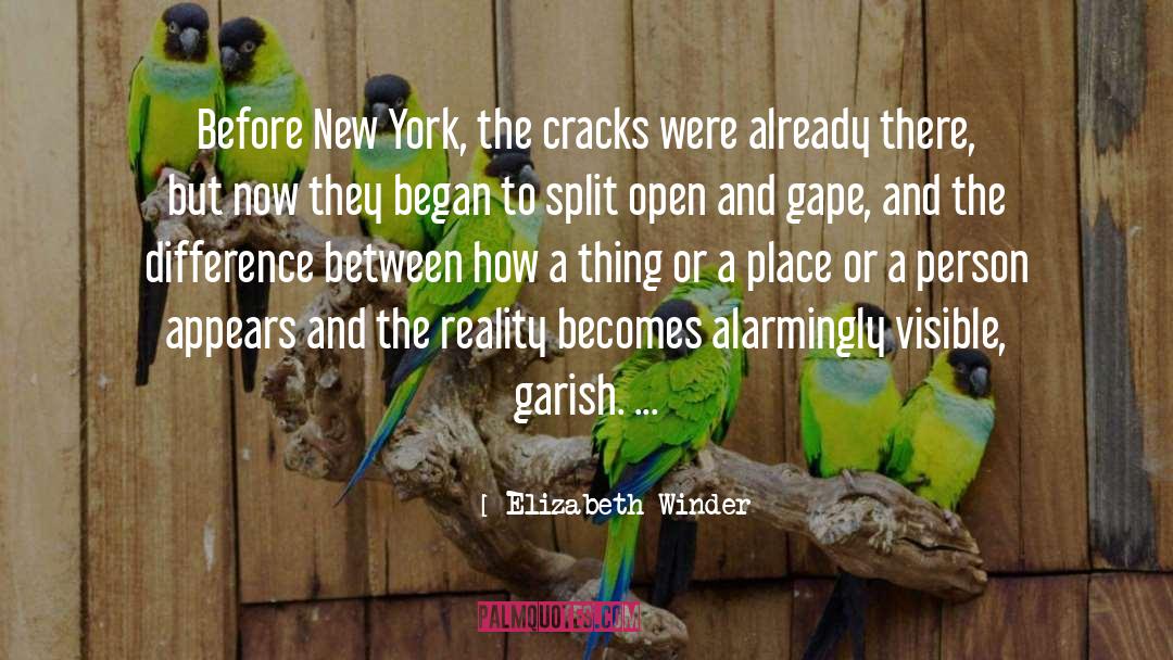 Elizabeth Winder Quotes: Before New York, the cracks