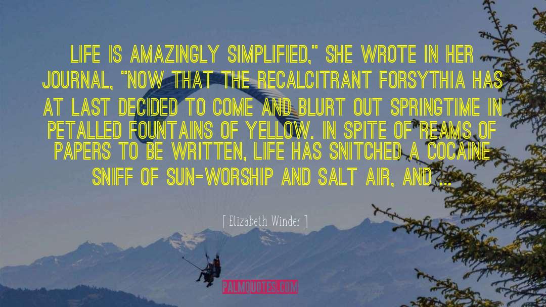 Elizabeth Winder Quotes: Life is amazingly simplified,