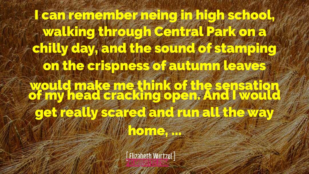 Elizabeth Wurtzel Quotes: I can remember neing in
