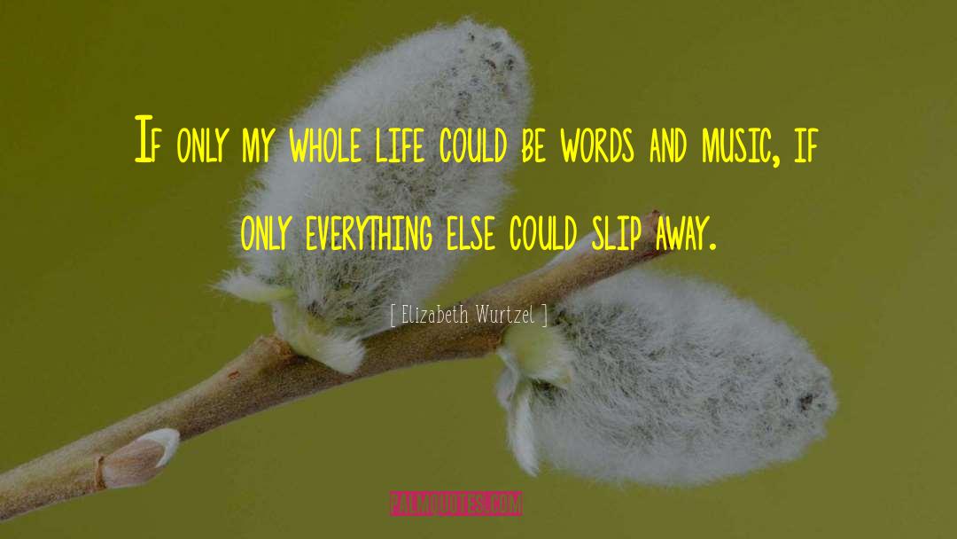 Elizabeth Wurtzel Quotes: If only my whole life