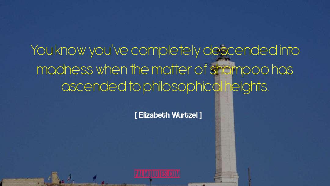 Elizabeth Wurtzel Quotes: You know you've completely descended