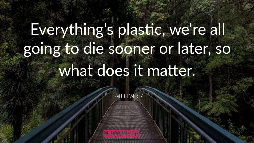 Elizabeth Wurtzel Quotes: Everything's plastic, we're all going