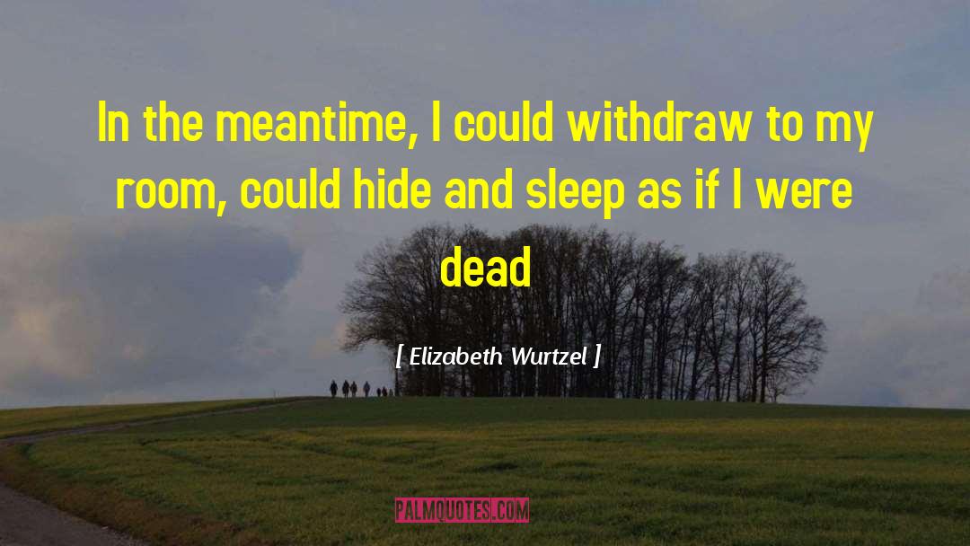 Elizabeth Wurtzel Quotes: In the meantime, I could