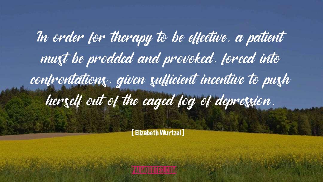 Elizabeth Wurtzel Quotes: In order for therapy to