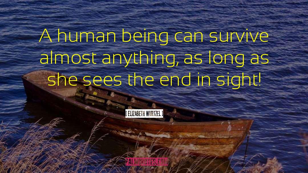 Elizabeth Wurtzel Quotes: A human being can survive