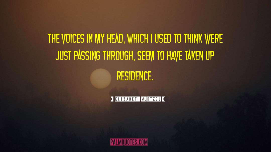 Elizabeth Wurtzel Quotes: The voices in my head,
