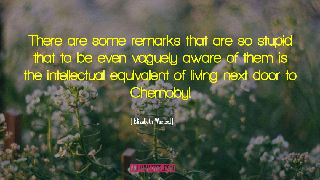 Elizabeth Wurtzel Quotes: There are some remarks that