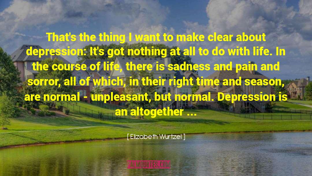 Elizabeth Wurtzel Quotes: That's the thing I want
