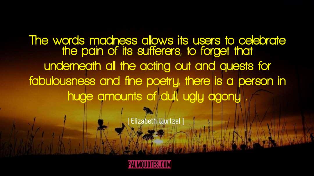 Elizabeth Wurtzel Quotes: The words madness allows its