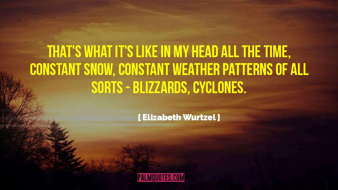 Elizabeth Wurtzel Quotes: That's what it's like in