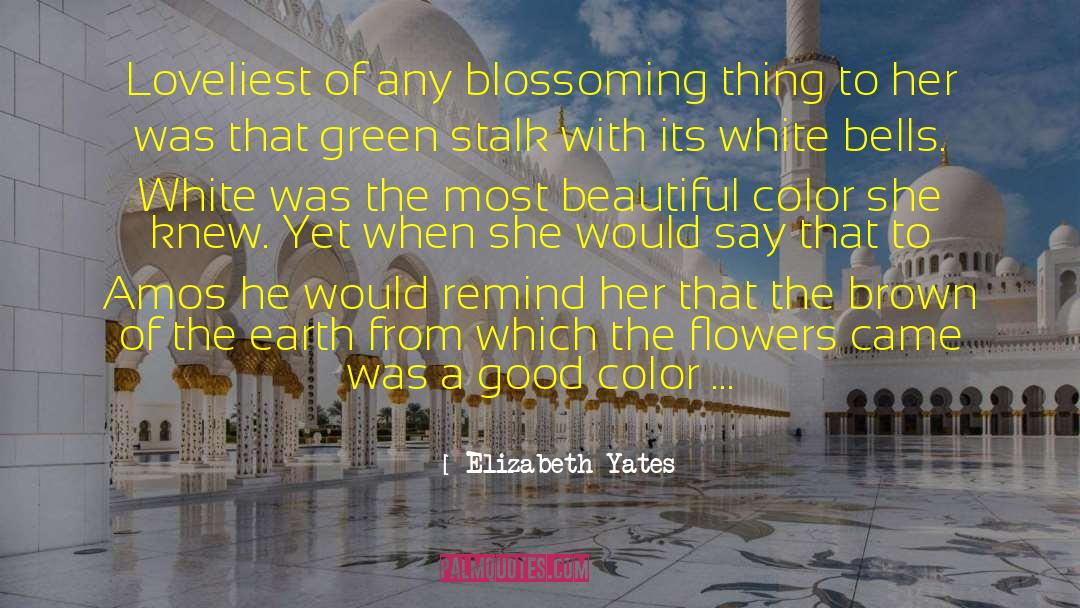 Elizabeth Yates Quotes: Loveliest of any blossoming thing