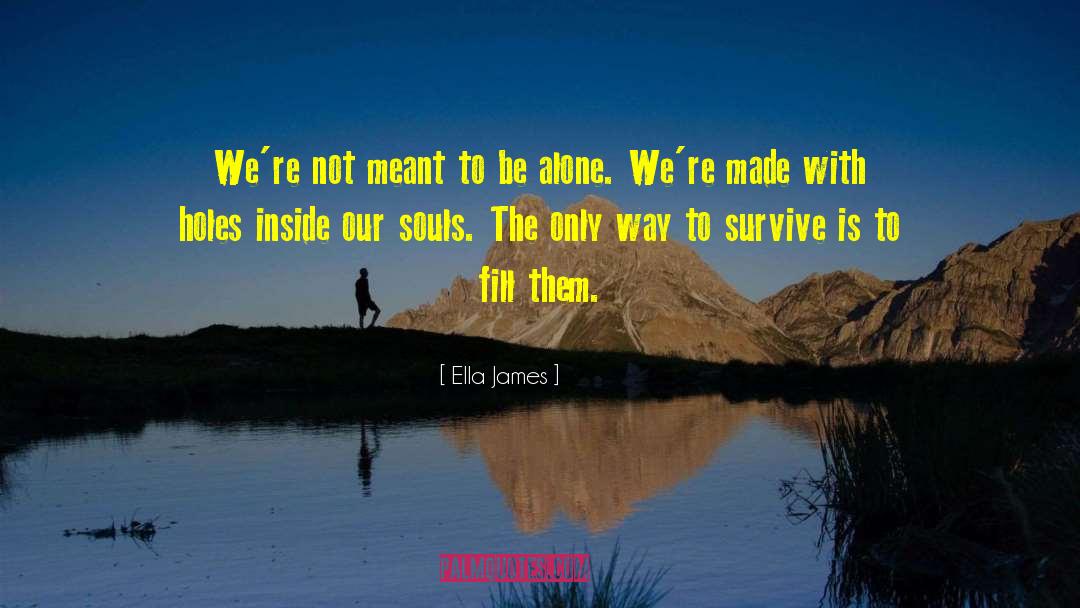Ella James Quotes: We're not meant to be