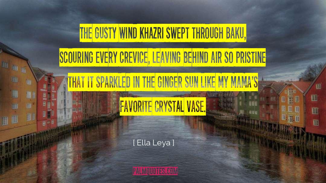 Ella Leya Quotes: The gusty wind Khazri swept