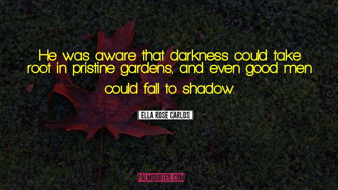 Ella Rose Carlos Quotes: He was aware that darkness